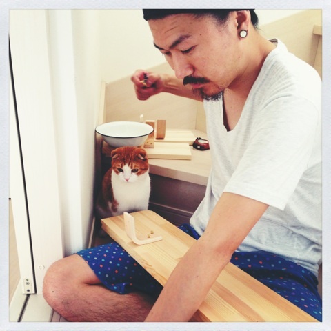 キャットウォーク