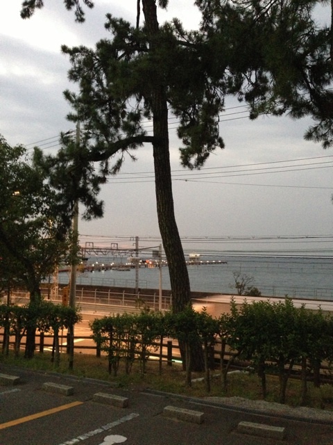 ひさびさにフィッシング