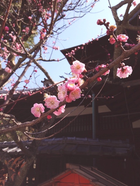 京都ぶらり旅