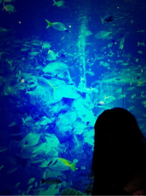 鳥羽水族館