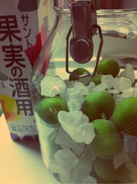 梅酒 2012