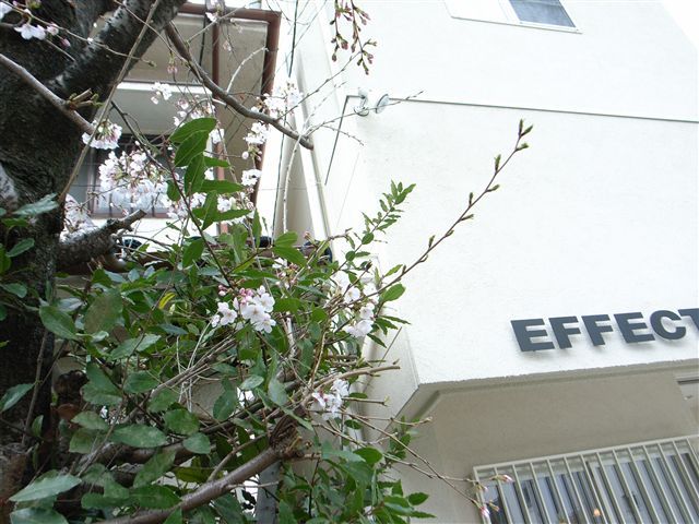 メッセージ