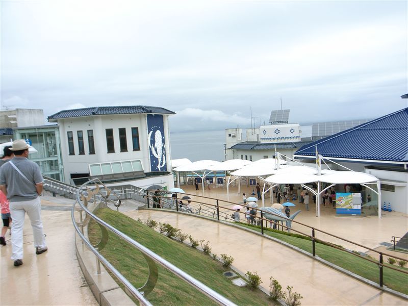 のとじま水族館 のとじま水族館